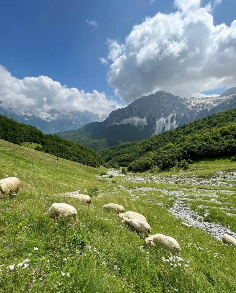 Attractions 4 thethvalbone albania