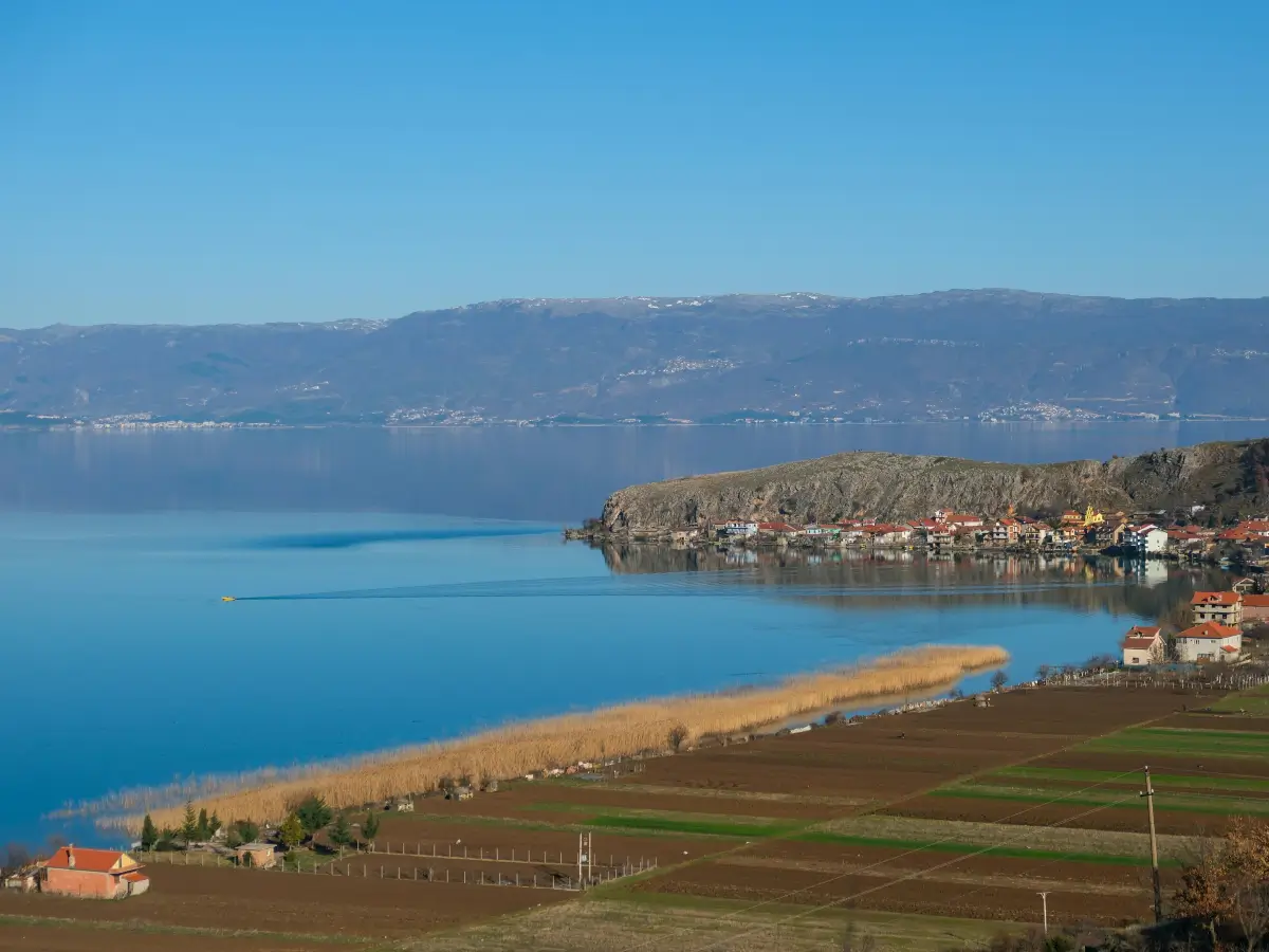 airbnb rules and taxes albania