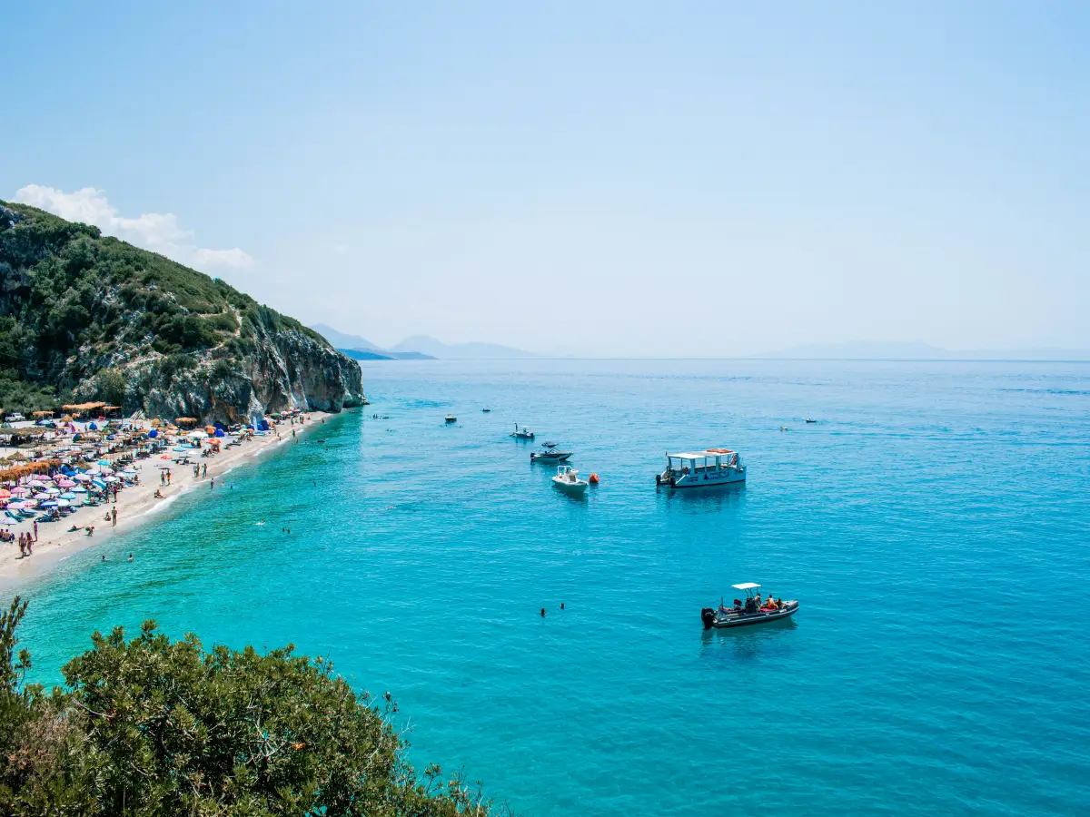 alcohol licence requirements for businesses in albania