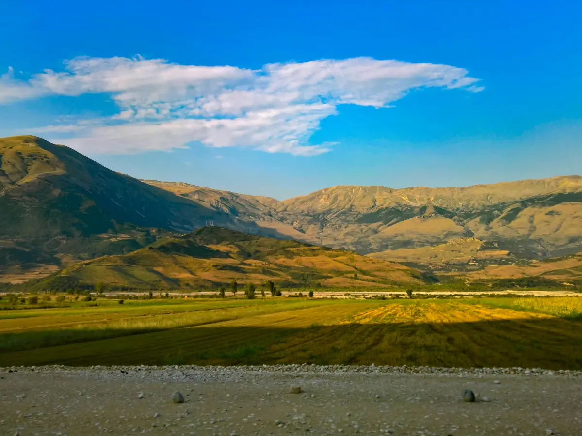 bank account requirements for albanian residency permit