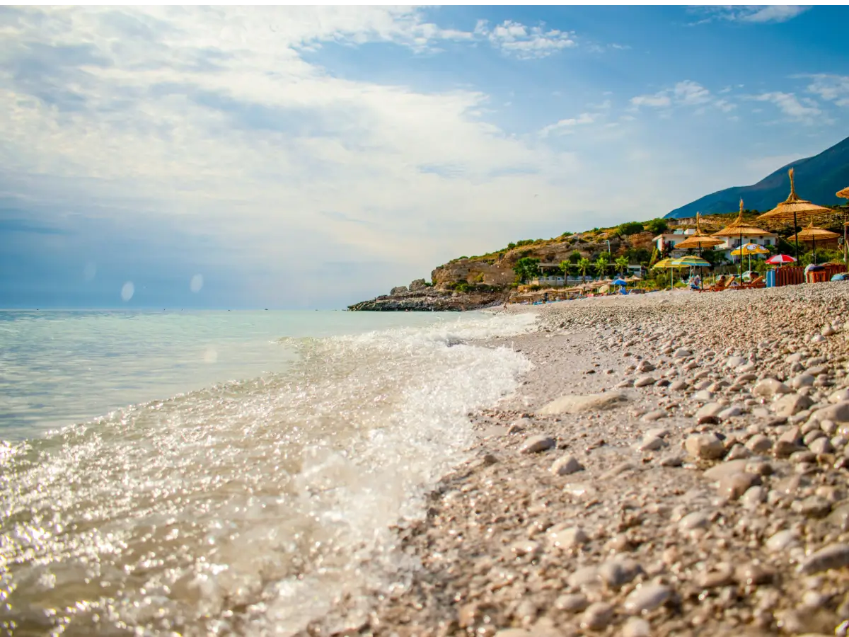 employment laws company formation albania