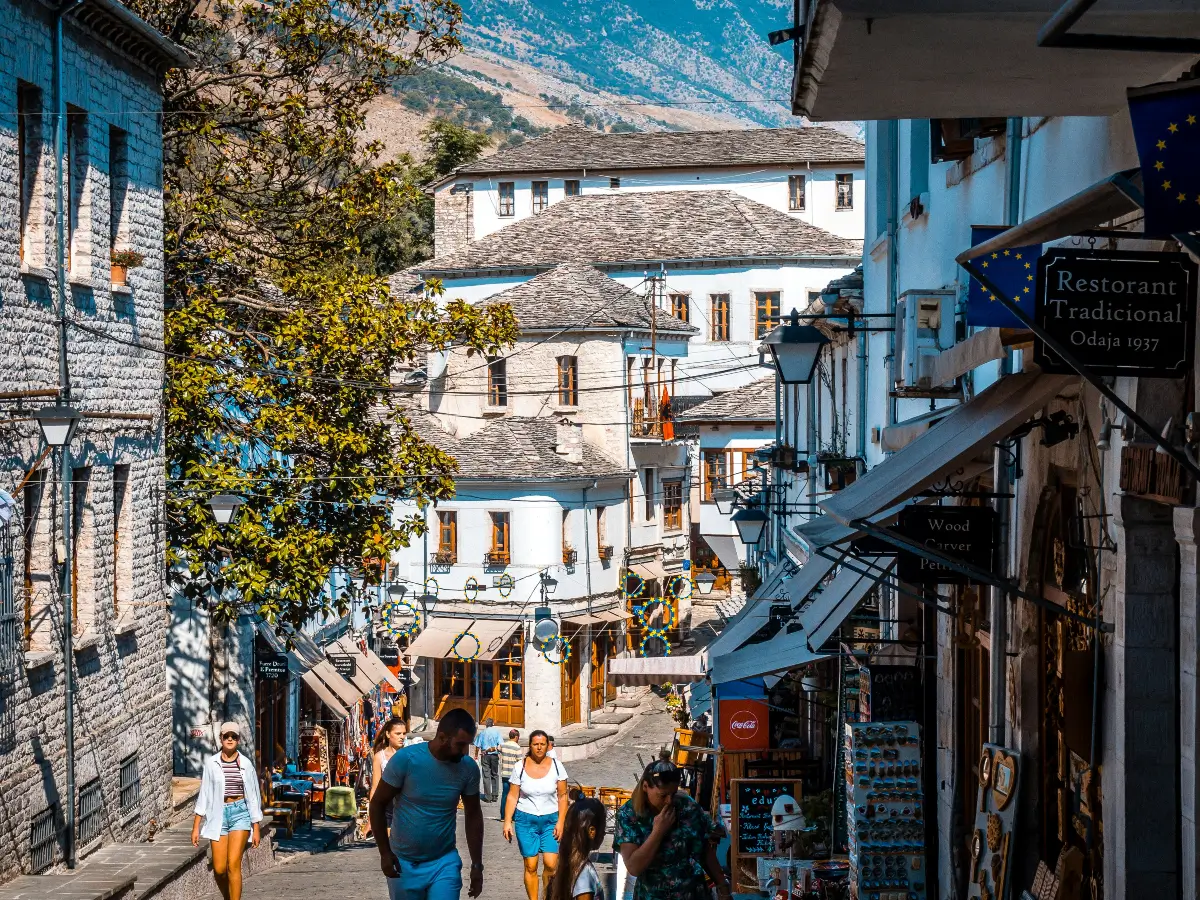 how to participate in public tenders in albania