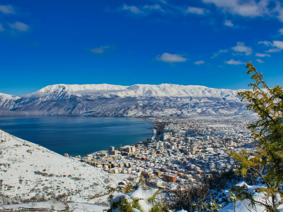 open sole proprietorship albania company formation