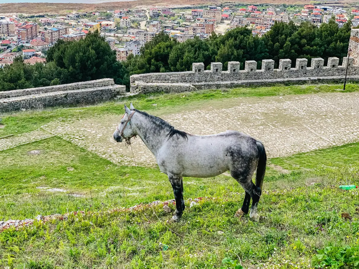 property development environmental challenges albania