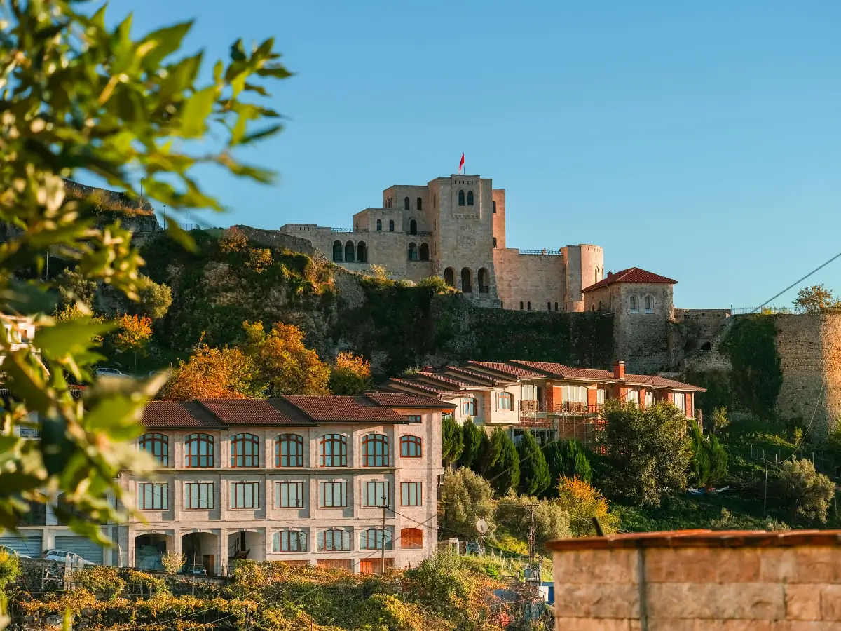 property insurance albania