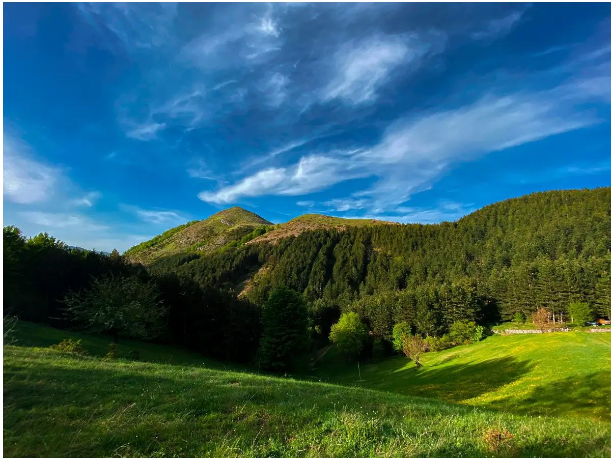 Can Americans get residency in Albania? 1 register an art or design business albania