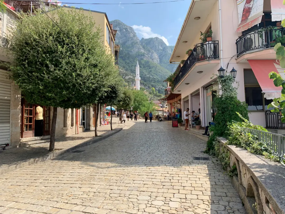 register food production business in albania