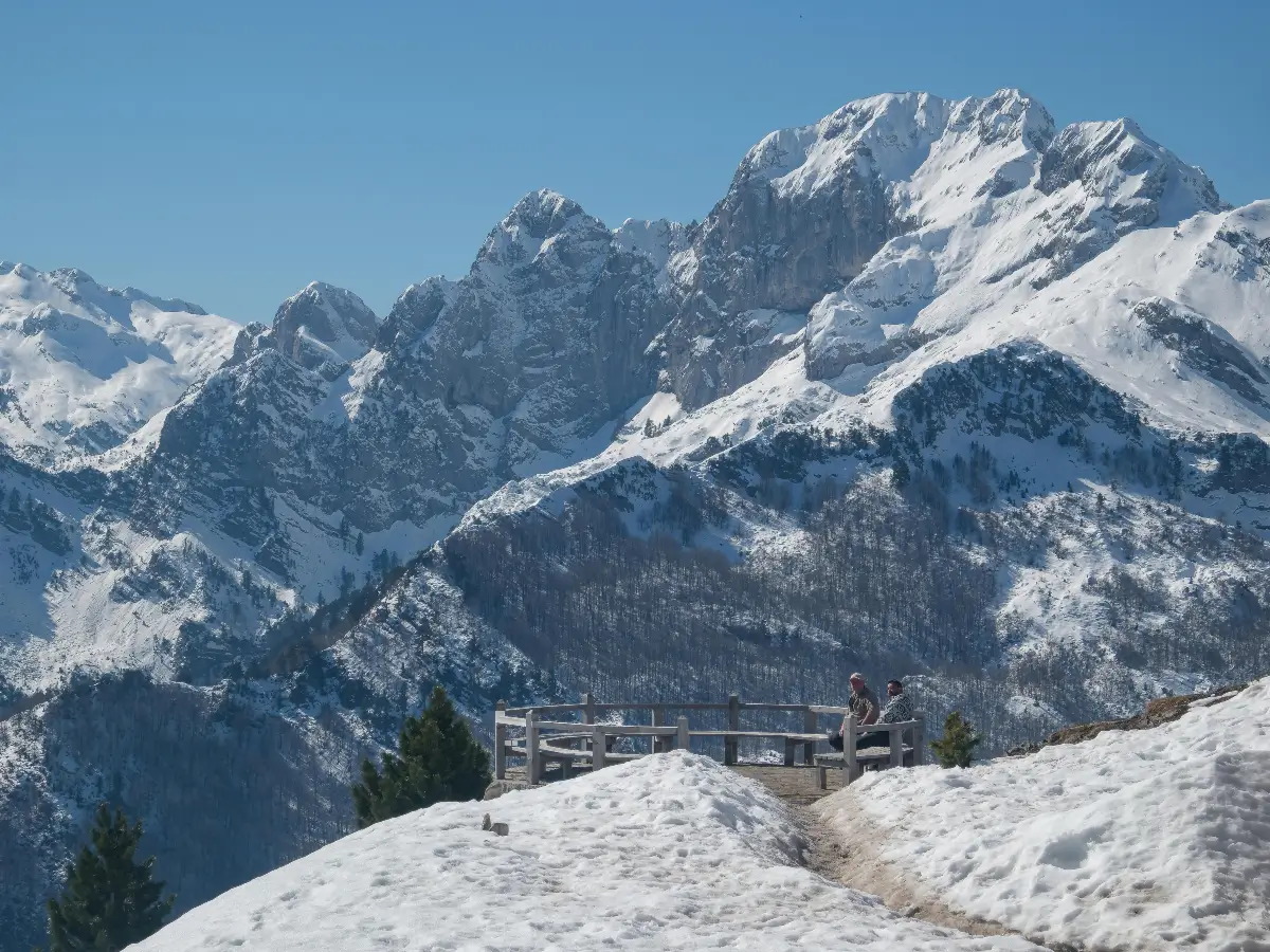 rental agreement requirements for residency permit in albania