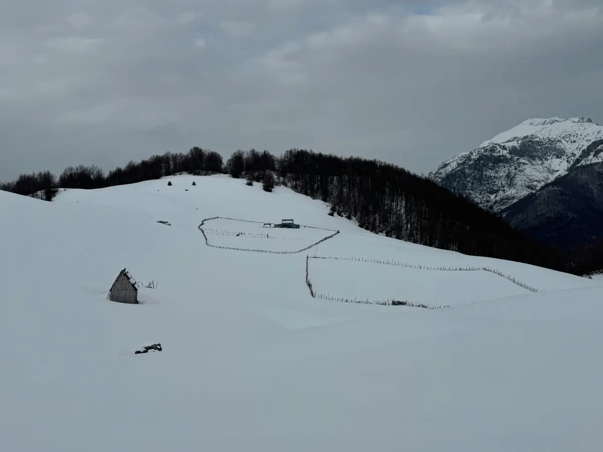 Do You Pay Property Tax in Albania? 3 taxes on property albania